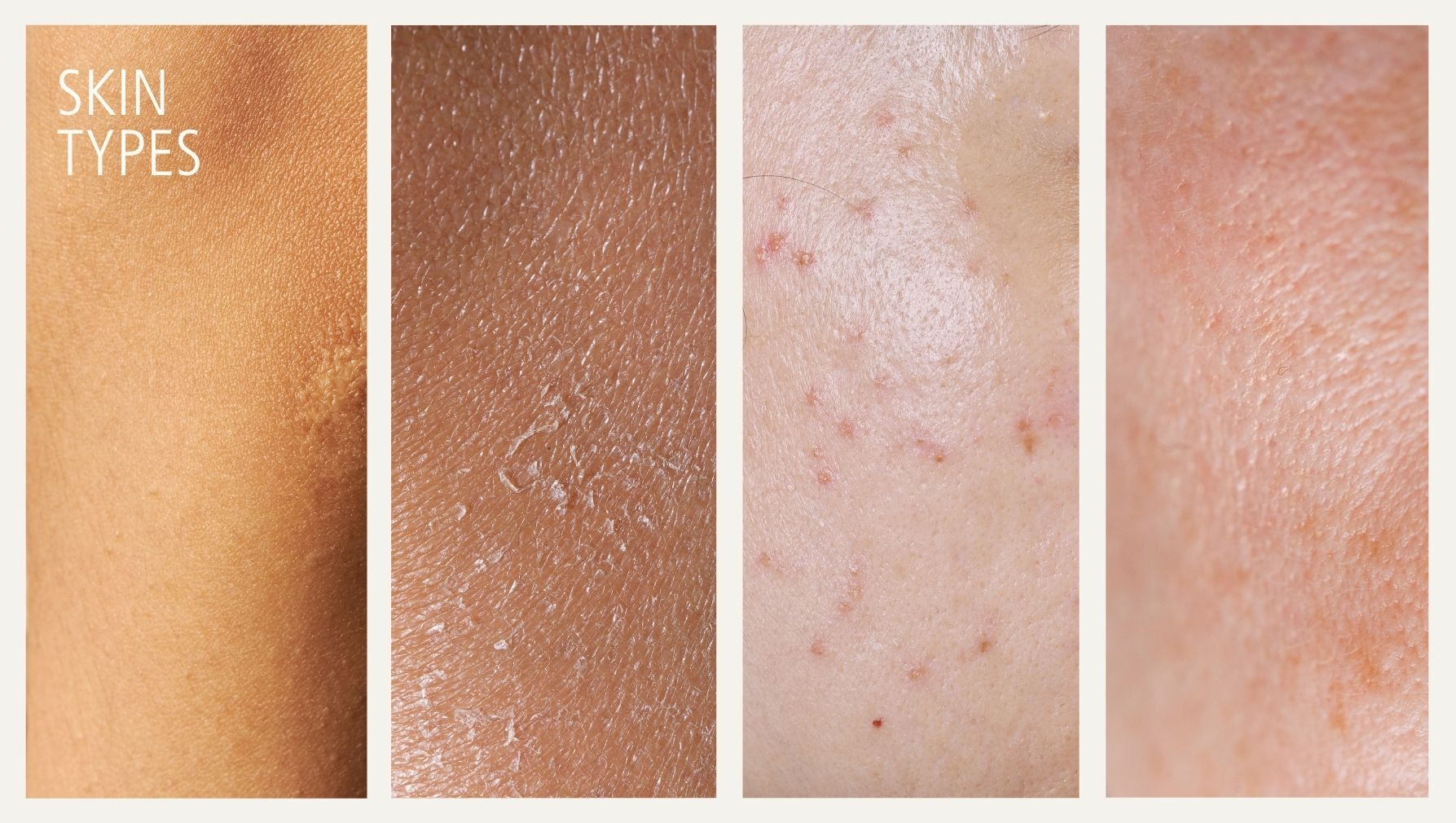 O_26_Sunscreen-Guide_Imagemap_Skin.jpg