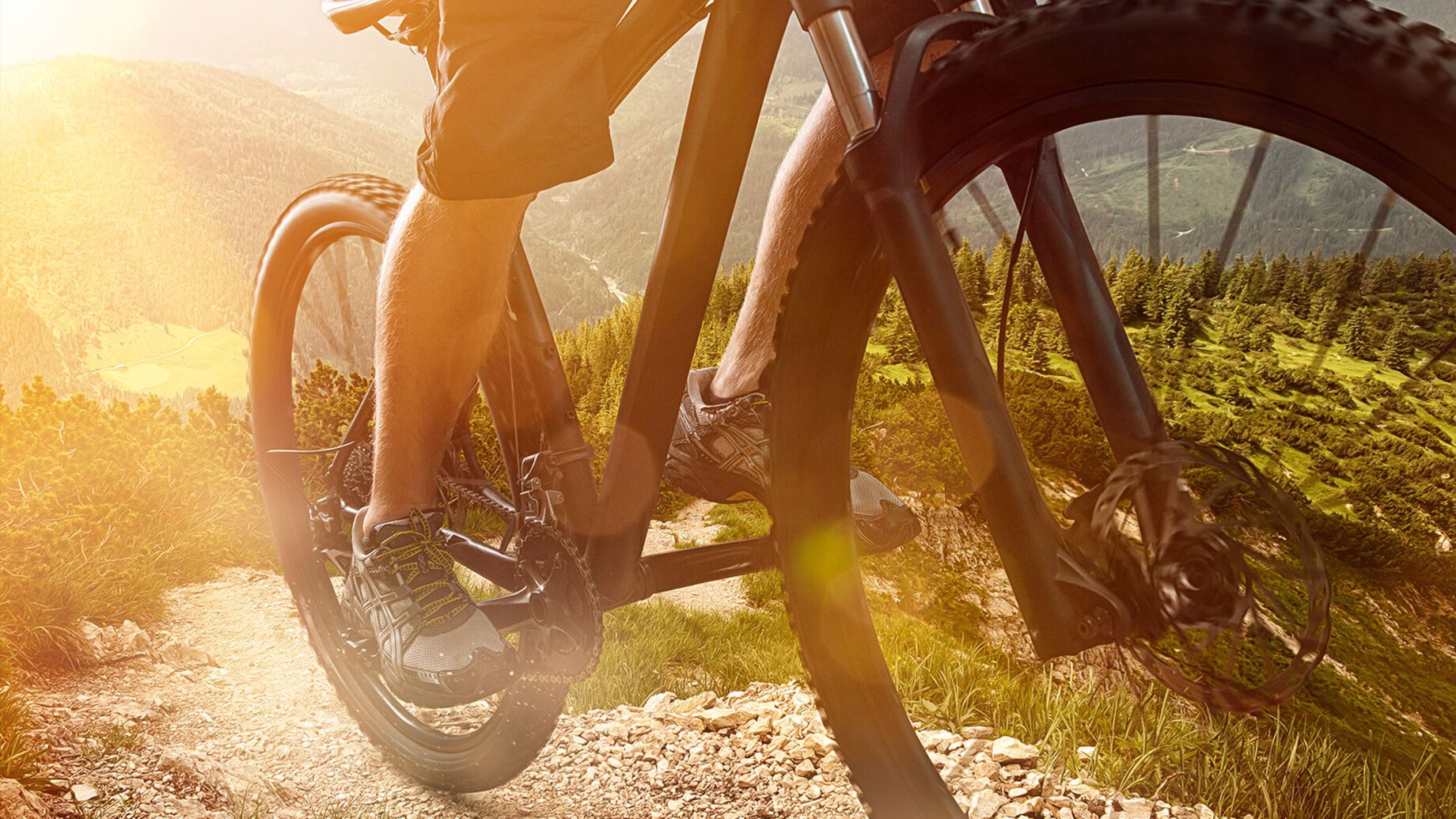 O_25-13_Bike-Rahmen.jpg