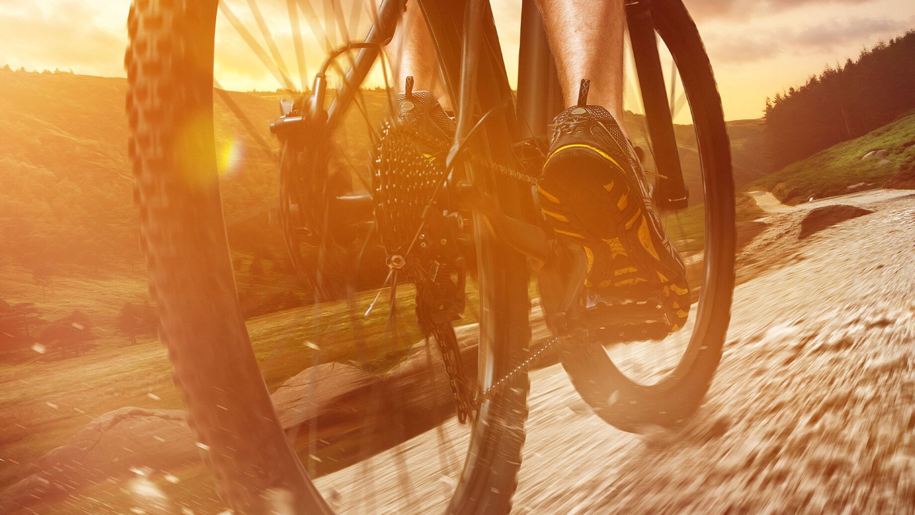 O_25-13_Bike-reifen.jpg