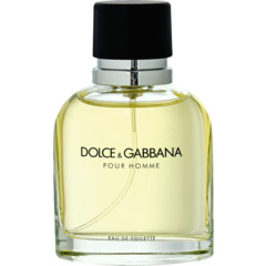 Dolce & Gabbana pour Homme Eau de Toilette