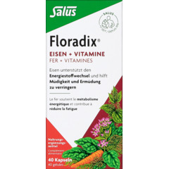 Floradix Eisen + Vitamine Kaps 40 St.