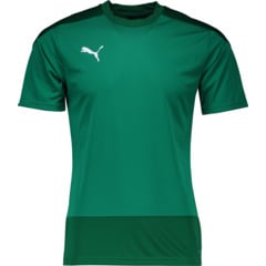 Puma Herren-T-Shirt team Goal
