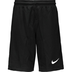 Nike Kinder-Shorts Dri-Fit Park 3