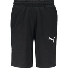 Puma short homme teamGoal Casual 