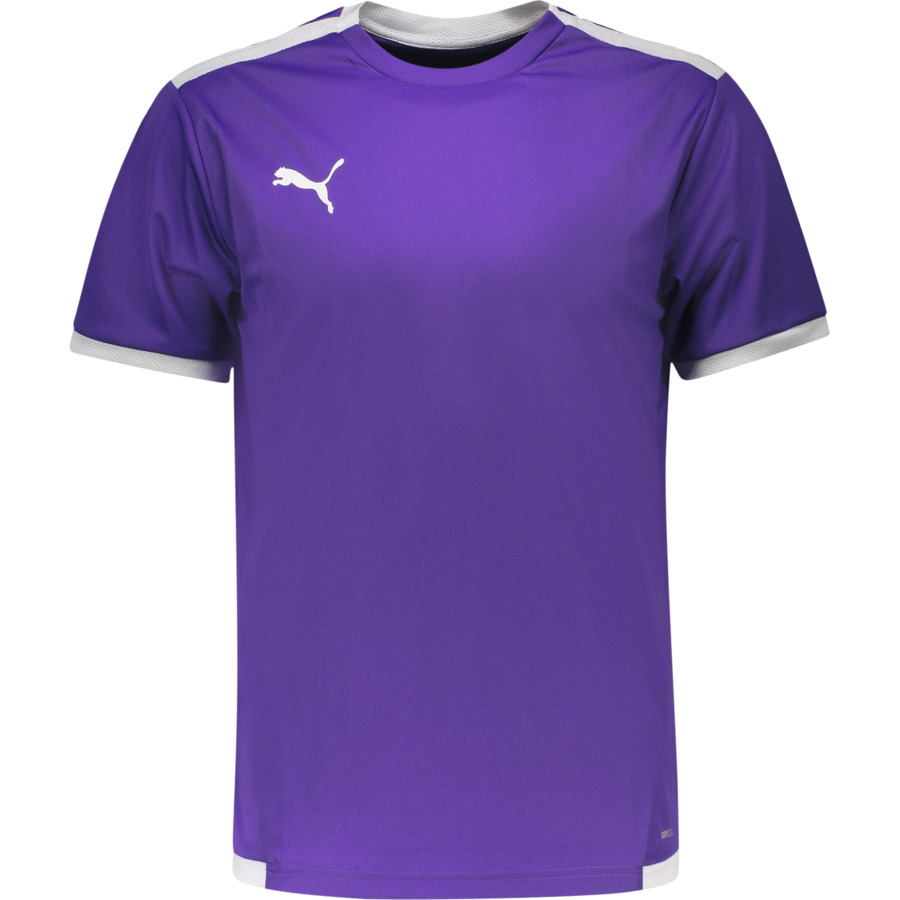 Puma maglia uomo teamLiga XXL, violett